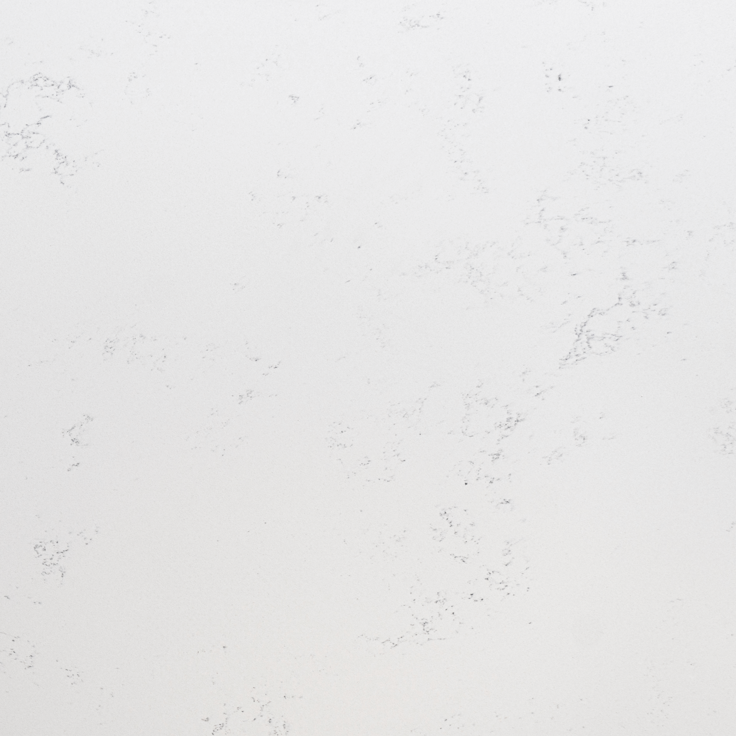 Bluetta Carrara Quartz slab close-up showing soft grey veining across a smooth white finish