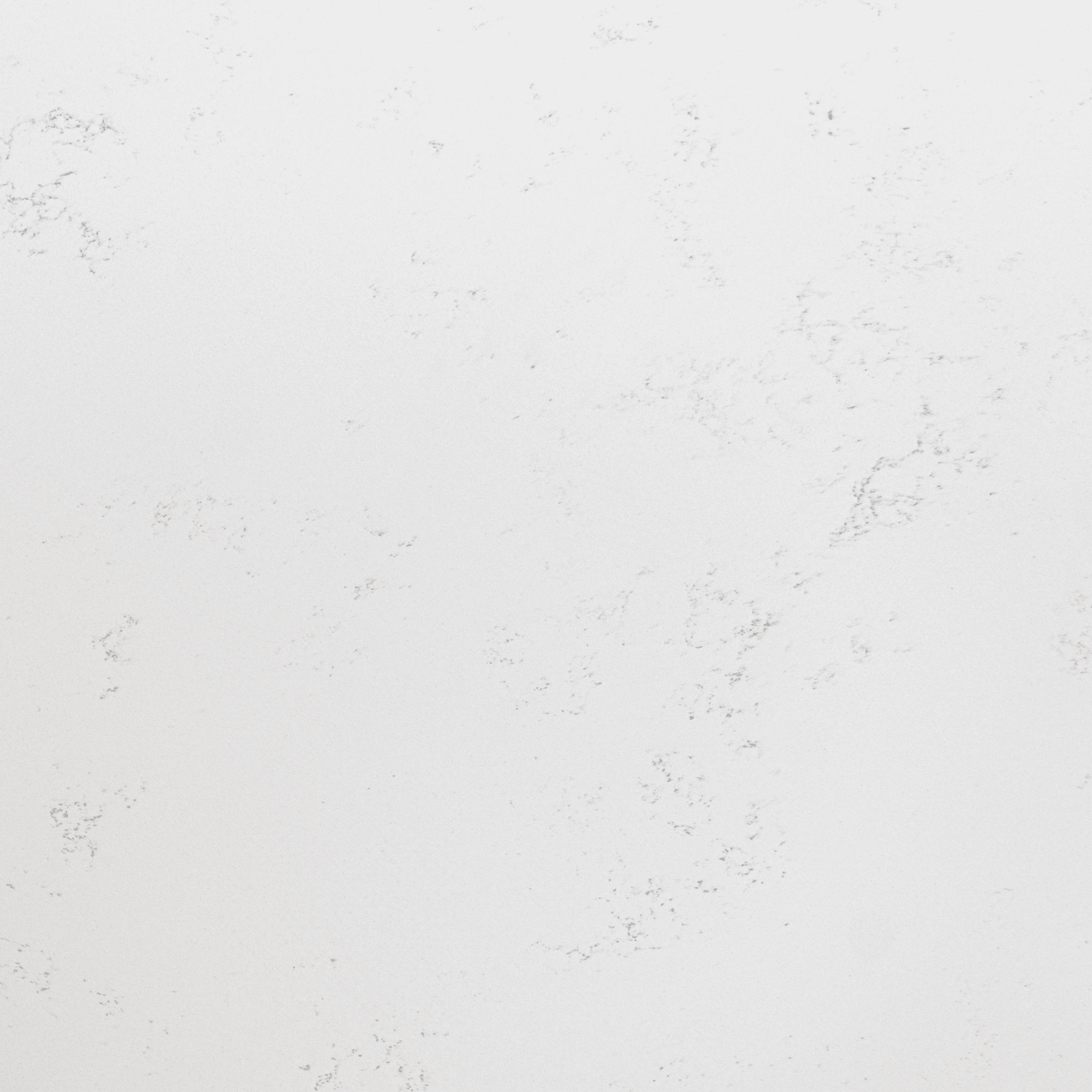 Bluetta Carrara Quartz slab close-up showing soft grey veining across a smooth white finish