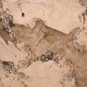 Pattagonia Porcelain