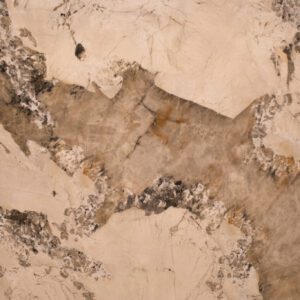 Pattagonia Porcelain